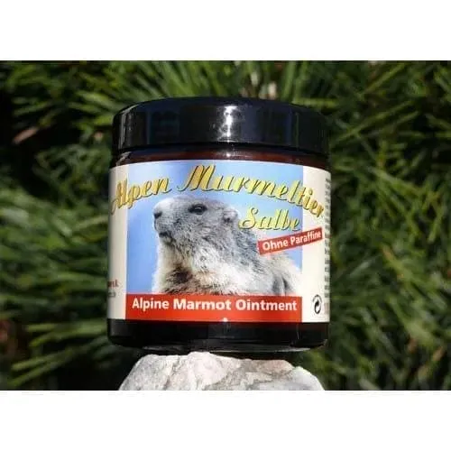 ALPEN MARMOT ointment, restoring vitality, blood circulation