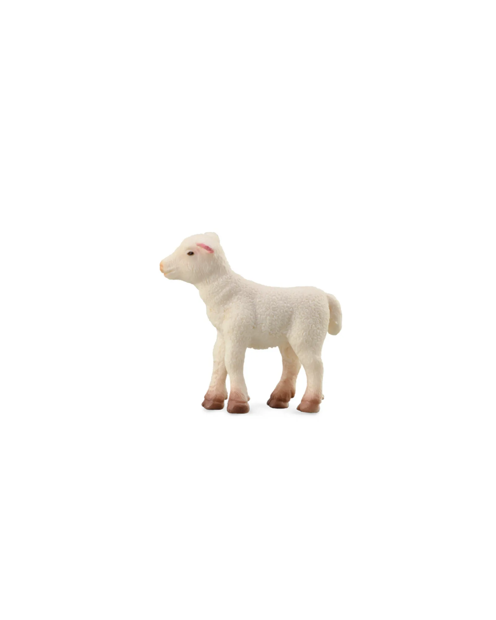 CollectA Lamb Standing Small