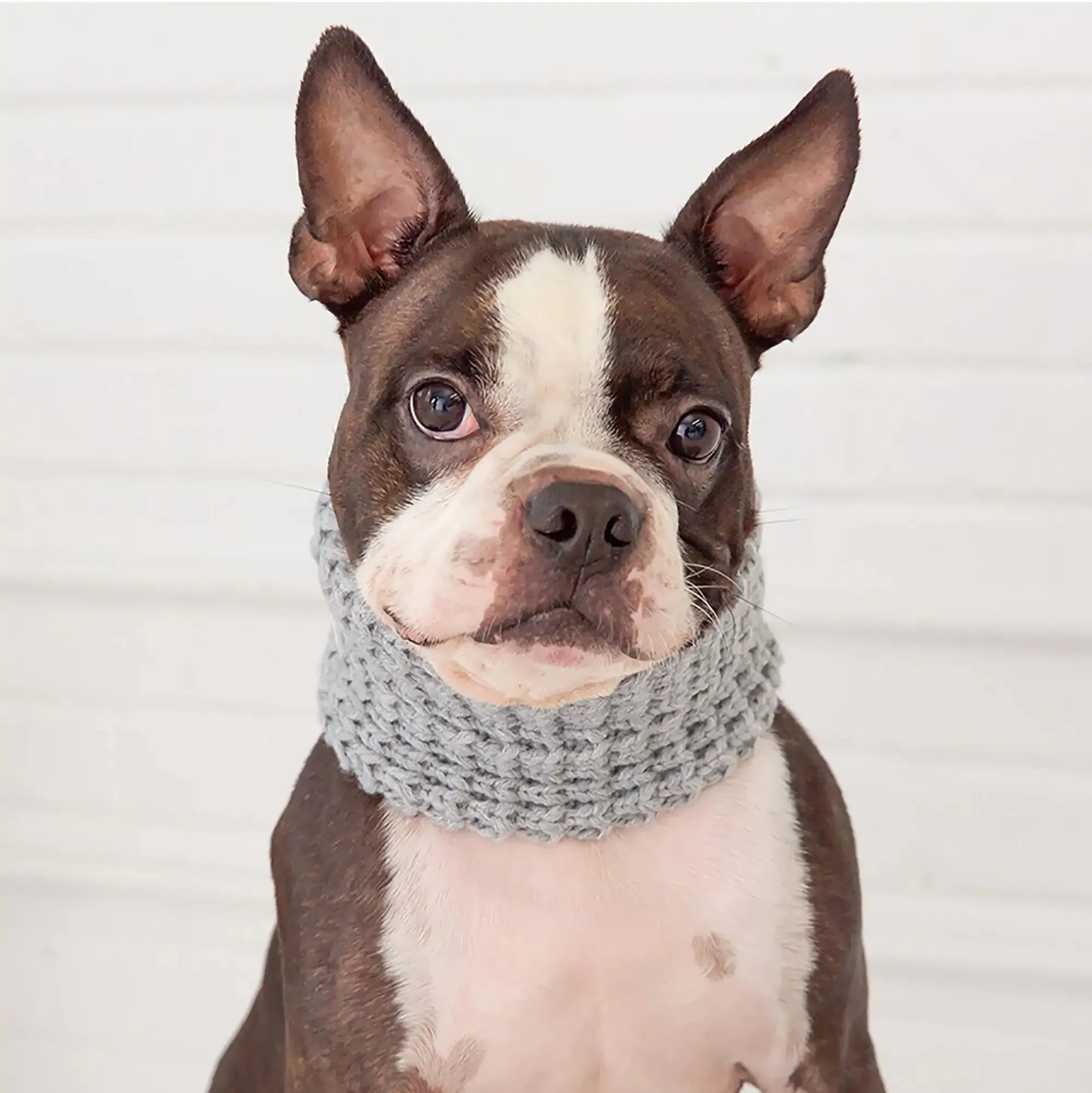 Dog Tube Scarf - Heather Grey