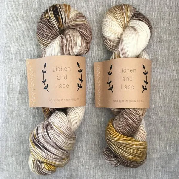 LIchen and Lace 80/20 Sock