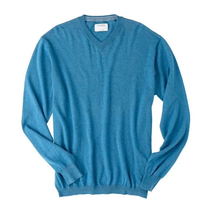 LIGHT WEIGHT COTTON-CASHMERE V-NECK SWEATER