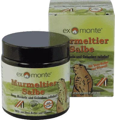 MARMOT OINTMENT, glycerin, without paraffins