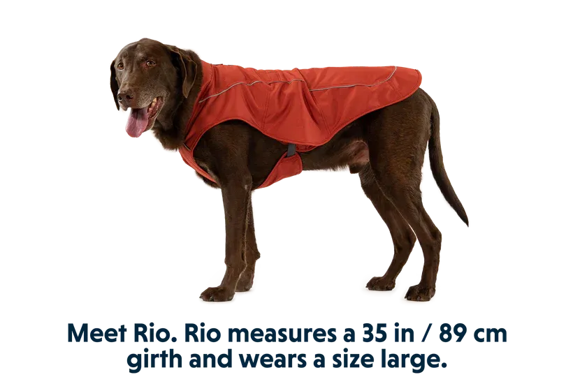 Overcoat™ Dog Jacket