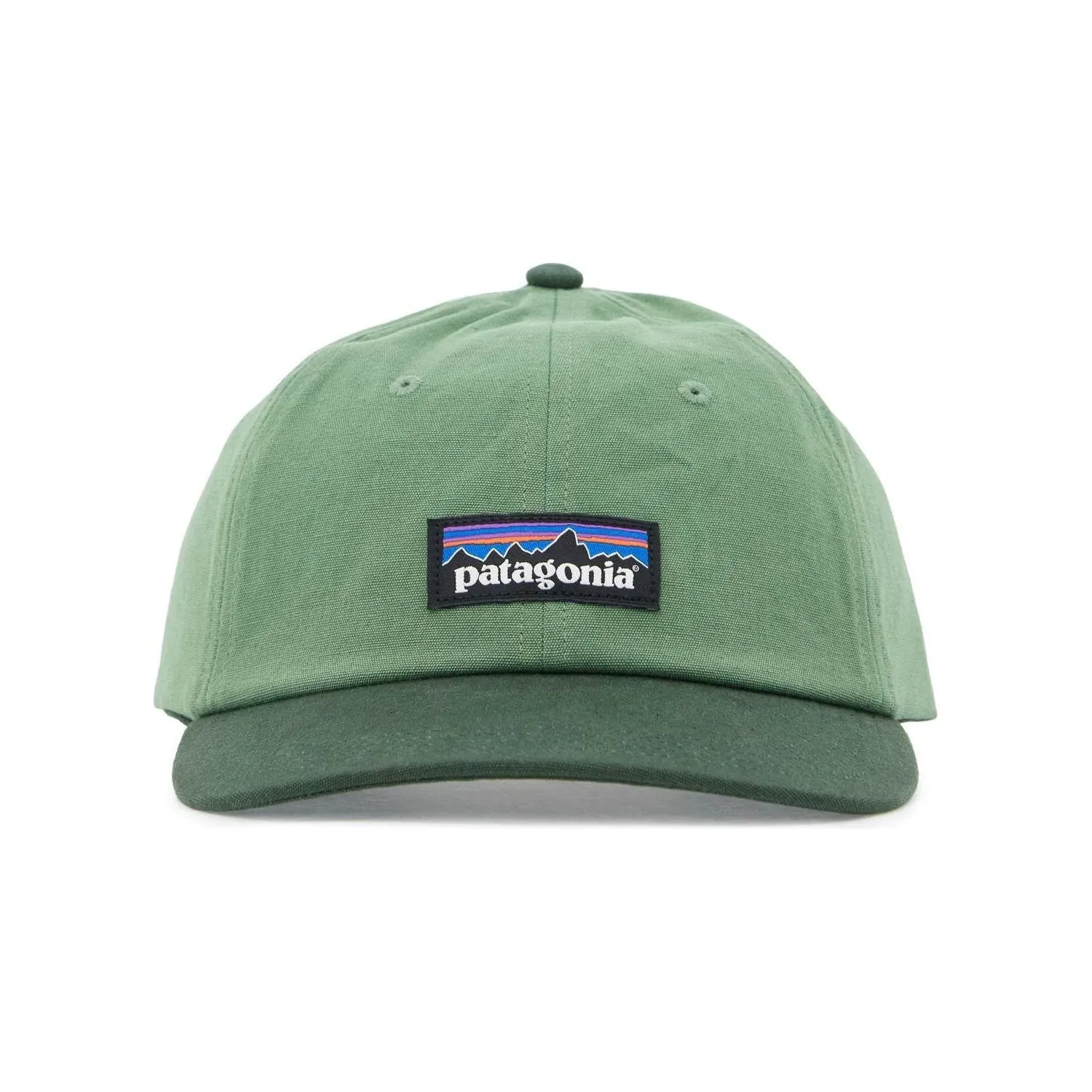 PATAGONIA emark baseball hat with p-6 label