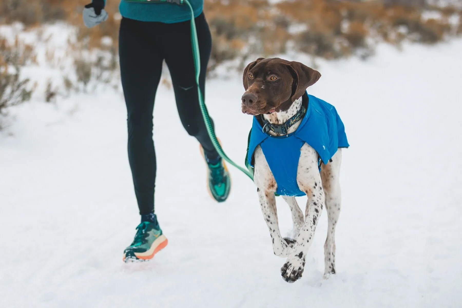 Ruffwear - Vert *Black Friday Offer*