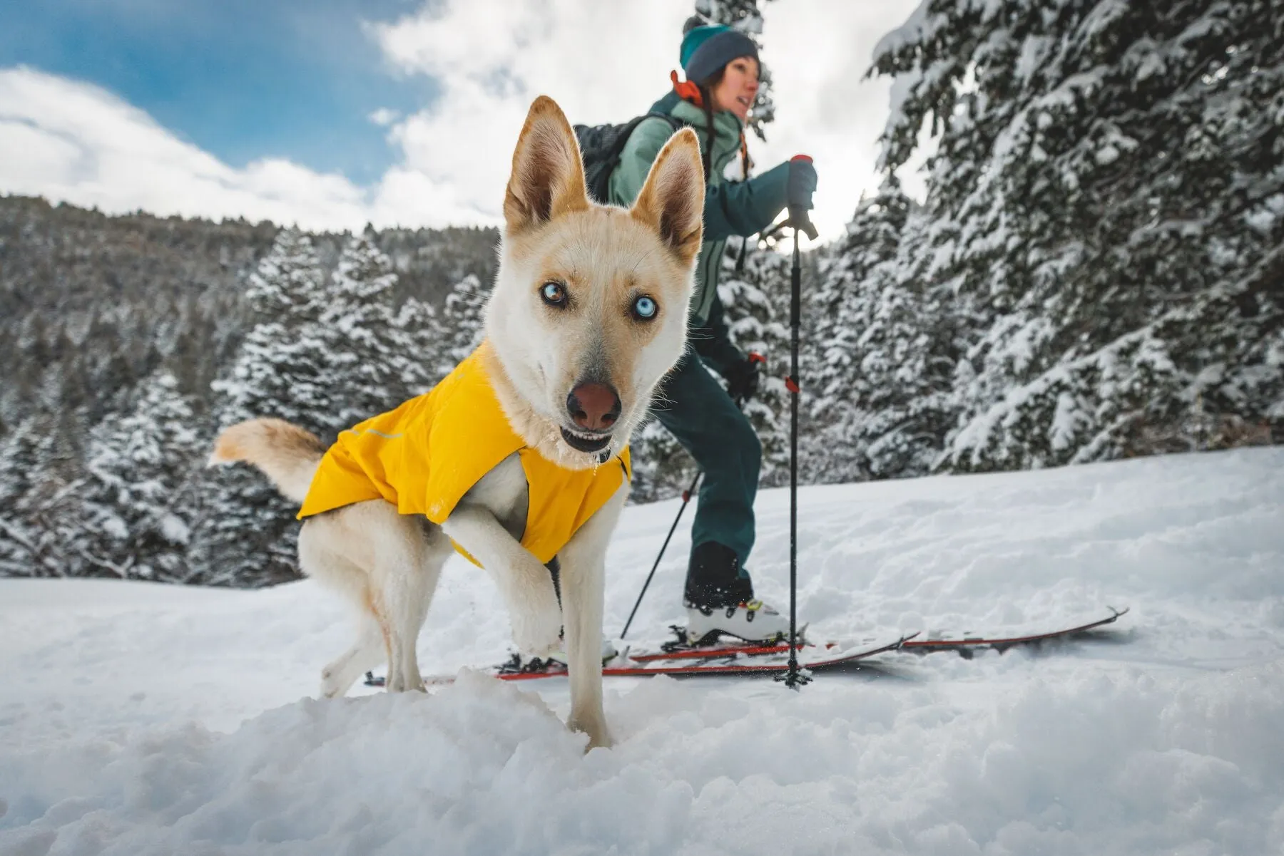 Ruffwear - Vert *Black Friday Offer*