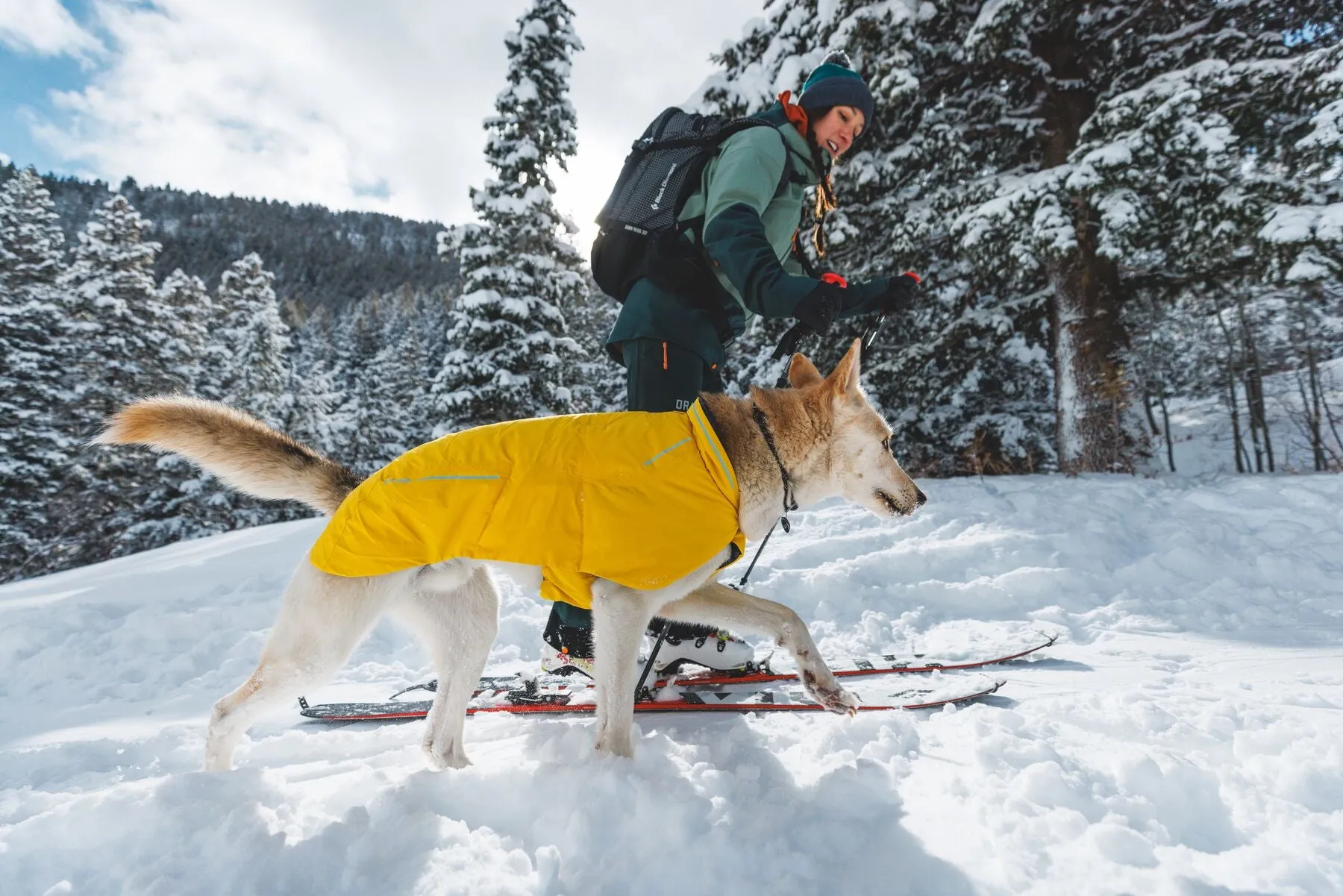 Ruffwear - Vert *Black Friday Offer*