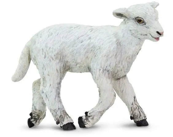 Safari Lamb